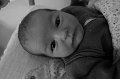 P1010001_DxO