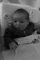 P1010003_DxO