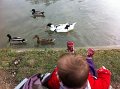 IMG_1788