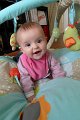 P1010548_DxO