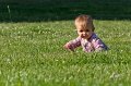 29062011-2011-06-29_17-45-43_DNG