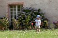 10072011-2011-07-10_16-56-43_DNG