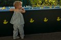 Cannes_0811_41