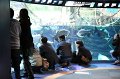 2008-11-10_07-37-44