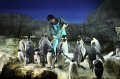 2008-11-10_07-45-25