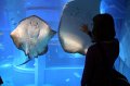 2008-11-10_07-53-39