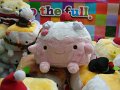 2008-11-10_09-10-27