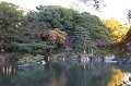 2008-11-11_09-38-23