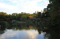2008-11-11_09-39-37