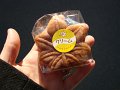 2008-11-12_03-19-25