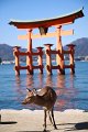 2008-11-12_03-36-35