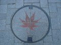 2008-11-12_03-56-55