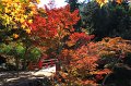 2008-11-12_03-58-58