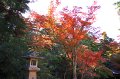 2008-11-12_04-07-01