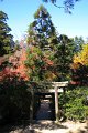 2008-11-12_04-56-28