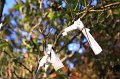 2008-11-12_04-57-16