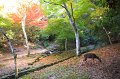 2008-11-12_04-58-17