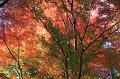 2008-11-12_04-59-12