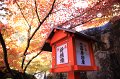 2008-11-12_05-43-49