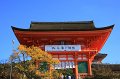 2008-11-13_07-11-52