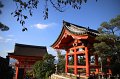 2008-11-13_07-16-17