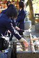 2008-11-13_07-37-20