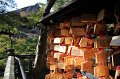 2008-11-13_07-39-44