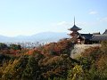 2008-11-13_07-46-29