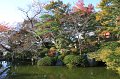 2008-11-13_08-02-17