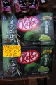 2008-11-13_08-15-10