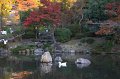 2008-11-13_09-27-23