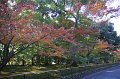 2008-11-14_02-59-48
