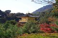 2008-11-14_03-20-50