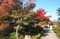 2008-11-14_04-18-27