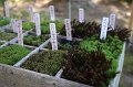2008-11-14_05-46-24
