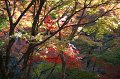 2008-11-14_05-46-53
