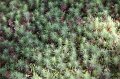 2008-11-14_05-49-58