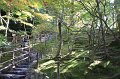 2008-11-14_05-55-23