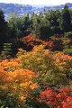 2008-11-14_05-57-26