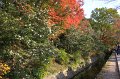 2008-11-14_07-22-07