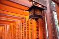 2008-11-15_03-50-57