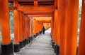 2008-11-15_03-59-12