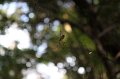2008-11-15_04-00-44