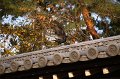 2008-11-15_08-31-22