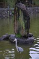 2008-11-16_05-11-12