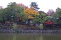 2008-11-16_05-18-31
