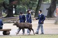 2008-11-16_05-54-26