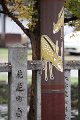 2008-11-16_05-54-55