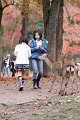 2008-11-16_06-40-53