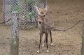 2008-11-16_06-52-20